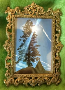 Ornate Italian Picture Frame with Tree Art