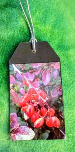 Pine Tree, Snowman, Red Star, and Red Berry Photo Cardstock Paper Ornament
