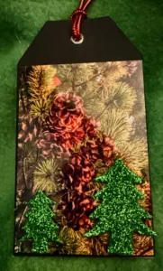 Pine Trees And Pinecones Photo Cardstock Paper Ornament